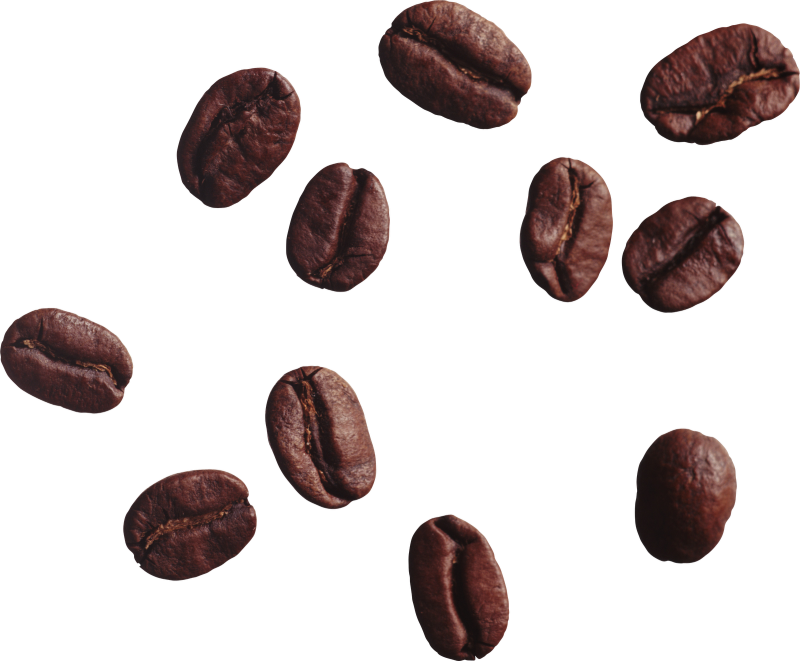 Coffee bins